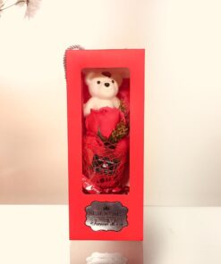 بگ کادویی خرسی2